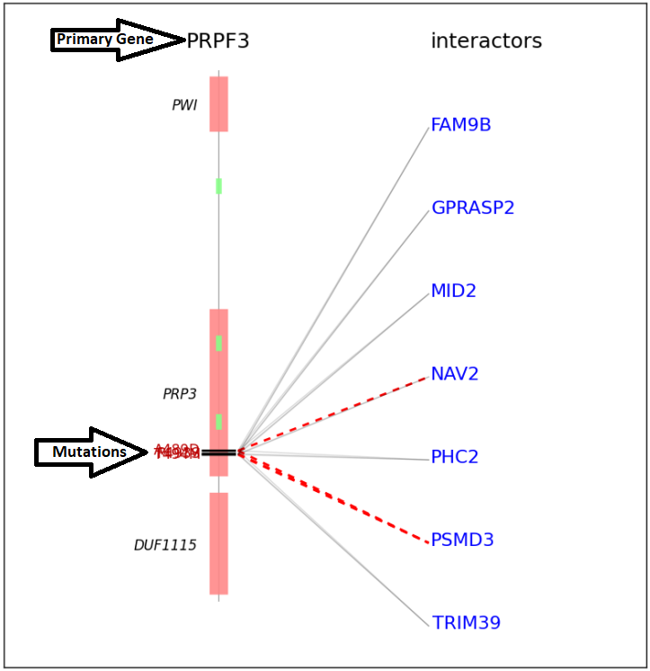 Example Summary figure for PRPF3